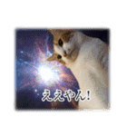 宇宙のはちさく（個別スタンプ：4）