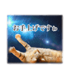 宇宙のはちさく（個別スタンプ：7）