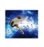 宇宙のはちさく（個別スタンプ：8）