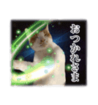 宇宙のはちさく（個別スタンプ：14）