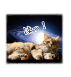 宇宙のはちさく（個別スタンプ：15）