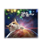 宇宙のはちさく（個別スタンプ：16）