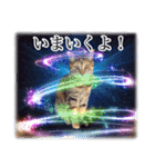 宇宙のはちさく（個別スタンプ：19）