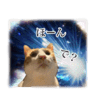 宇宙のはちさく（個別スタンプ：21）