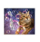 宇宙のはちさく（個別スタンプ：27）