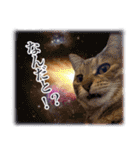 宇宙のはちさく（個別スタンプ：28）