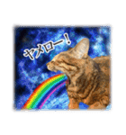 宇宙のはちさく（個別スタンプ：29）