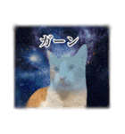 宇宙のはちさく（個別スタンプ：31）