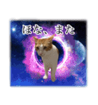 宇宙のはちさく（個別スタンプ：32）