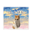 宇宙のはちさく（個別スタンプ：36）