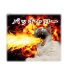 宇宙のはちさく（個別スタンプ：38）