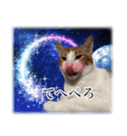 宇宙のはちさく（個別スタンプ：39）