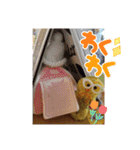 毛玉ひよこ第2弾（個別スタンプ：13）