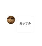 Ranran初めての動くすたんぷっ（個別スタンプ：7）