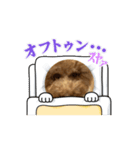 Ranran初めての動くすたんぷっ（個別スタンプ：8）