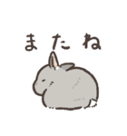 rabbit and...スタンプ2（個別スタンプ：3）