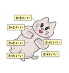 今日も猫がいるから幸せ！（個別スタンプ：7）