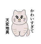 今日も猫がいるから幸せ！（個別スタンプ：30）