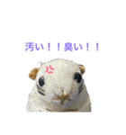 ハムスターのウンちゃんのスタンプ（個別スタンプ：7）