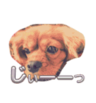 転生まめすたんぷ（個別スタンプ：15）