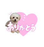 こぼくんスタンプ（個別スタンプ：2）