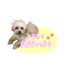 こぼくんスタンプ（個別スタンプ：5）