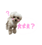 こぼくんスタンプ（個別スタンプ：7）