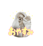 こぼくんスタンプ（個別スタンプ：8）