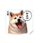 The high profile daily life of Akita Inu（個別スタンプ：2）