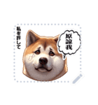 The high profile daily life of Akita Inu（個別スタンプ：6）