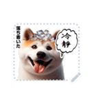 The high profile daily life of Akita Inu（個別スタンプ：8）