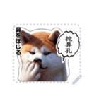 The high profile daily life of Akita Inu（個別スタンプ：10）