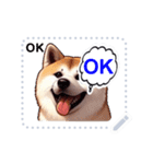 The high profile daily life of Akita Inu（個別スタンプ：12）