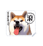 The high profile daily life of Akita Inu（個別スタンプ：18）