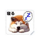 The high profile daily life of Akita Inu（個別スタンプ：21）