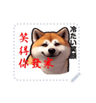 The high profile daily life of Akita Inu（個別スタンプ：24）