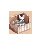 愛犬ふれあいスタンプ（個別スタンプ：10）