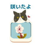【BIG】ハチワレぶーにゃんのお花見行こう（個別スタンプ：10）
