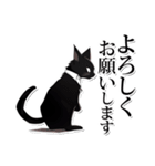 ホワイトカラー黒猫☆あいさつスタンプ（個別スタンプ：6）