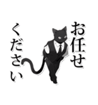 ホワイトカラー黒猫☆あいさつスタンプ（個別スタンプ：11）