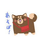 春と日常の黒柴犬（個別スタンプ：13）