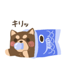 春と日常の黒柴犬（個別スタンプ：16）