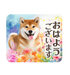 ❤水彩❤柴犬とお花の美しい写真スタンプ（個別スタンプ：6）
