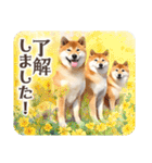 ❤水彩❤柴犬とお花の美しい写真スタンプ（個別スタンプ：14）