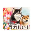 ❤水彩❤柴犬とお花の美しい写真スタンプ（個別スタンプ：19）