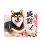 ❤水彩❤柴犬とお花の美しい写真スタンプ（個別スタンプ：24）