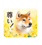 ❤水彩❤柴犬とお花の美しい写真スタンプ（個別スタンプ：30）