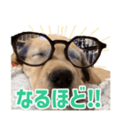 よつばくんのスタンプ（個別スタンプ：2）