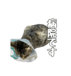 ねこのすたんぷ〜（個別スタンプ：18）