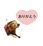 うちの ぶん太 2（個別スタンプ：2）